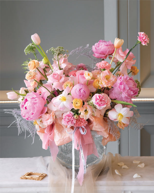 Rosé & Apricot
