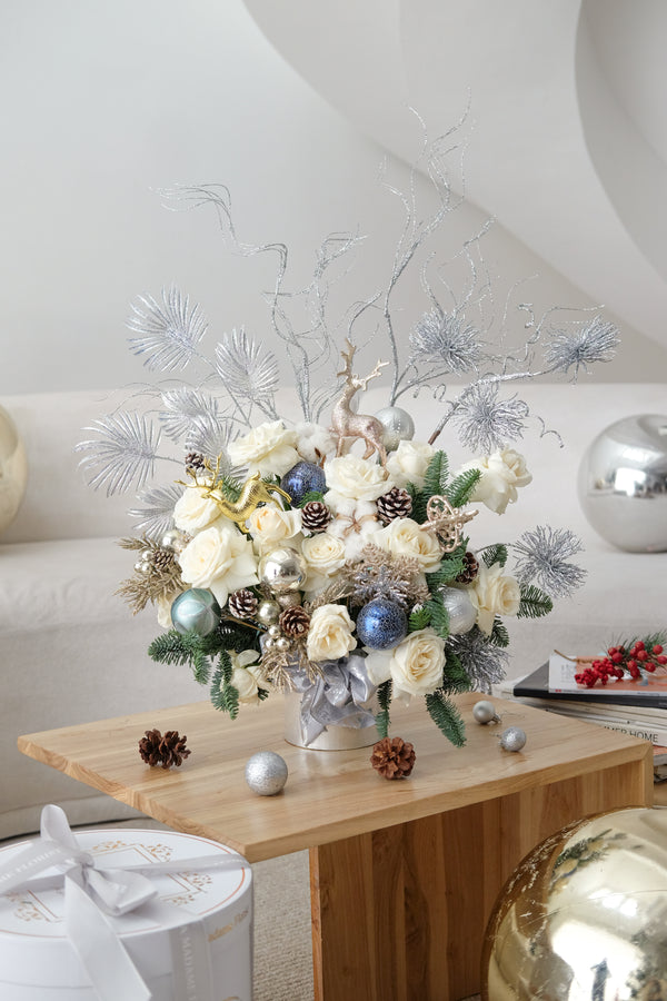 Christmas Winter Starlight