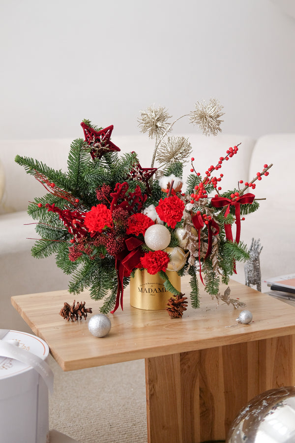 Scarlet Christmas Radiance