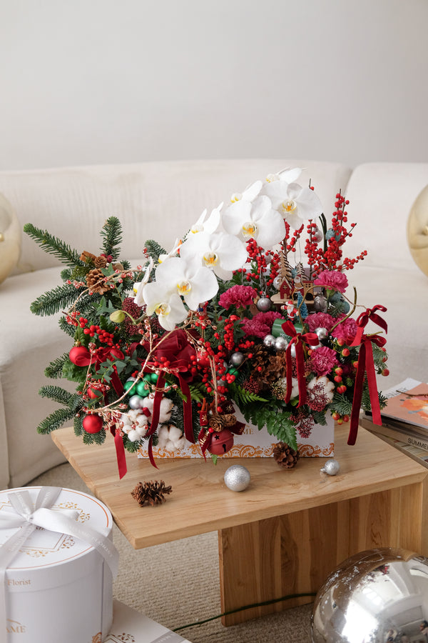 Winter Orchid Christmas Harmony