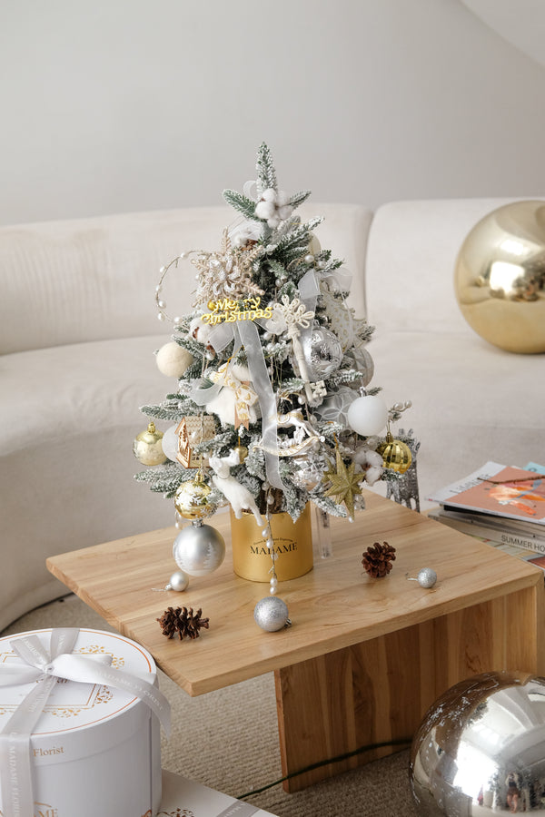 Frosted Winter Star (Artificial) Tree