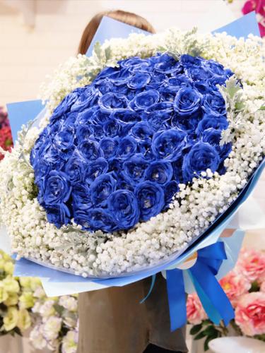 Admiration Blue Ocean Roses