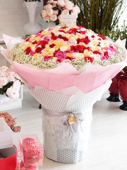 500 roses of Luxury Peach Creamy Sorbet