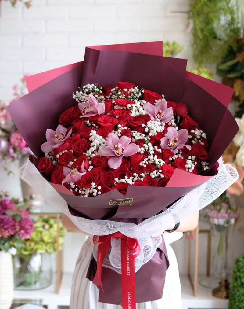 Romantic Blush Pink Orchid